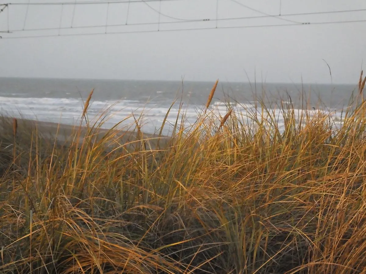 Bed & Breakfast Sable D'O -Vlak Aan De Zee- Bed and Breakfast Mariakerke